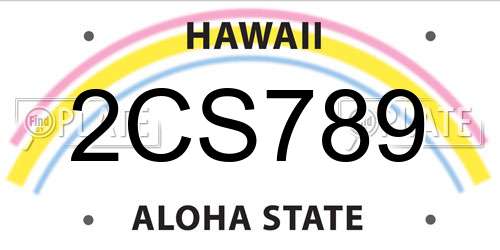 2CS789 Hawaii License Plate