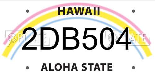 2DB504 Hawaii License Plate