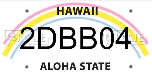 2DBB04 Hawaii License Plate
