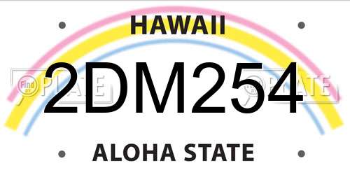2DM254 Hawaii License Plate