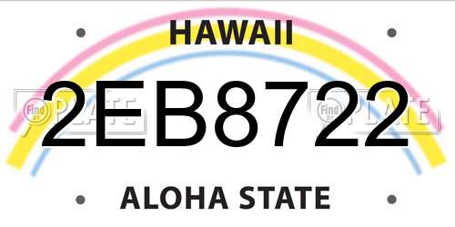 2EB8722 Hawaii License Plate