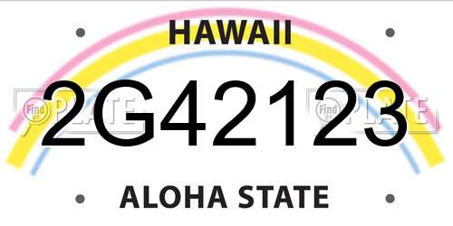 2G42123 Hawaii License Plate
