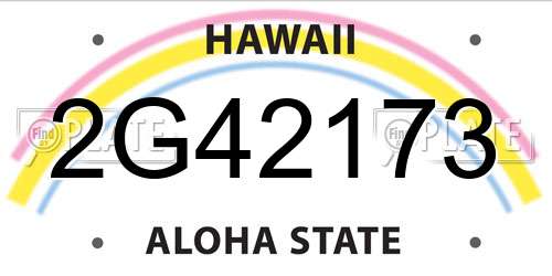2G42173 Hawaii License Plate
