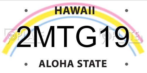 2MTG19 Hawaii License Plate