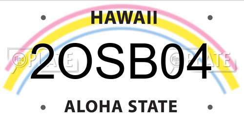 2OSB04 Hawaii License Plate