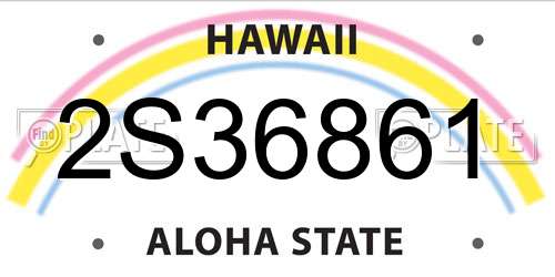 2S36861 Hawaii License Plate