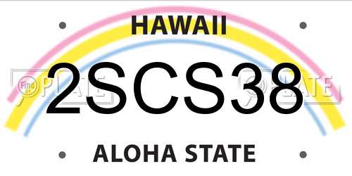 2SCS38 Hawaii License Plate