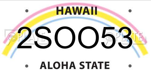 2SOO53 Hawaii License Plate