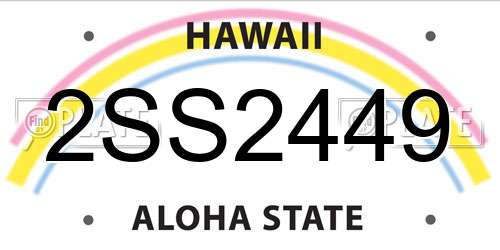 2SS2449 Hawaii License Plate