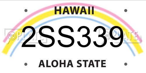 2SS339 Hawaii License Plate