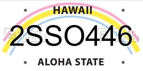 2SSO446 Hawaii License Plate