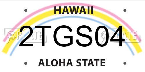 2TGS04 Hawaii License Plate