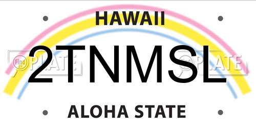 2TNMSL Hawaii License Plate