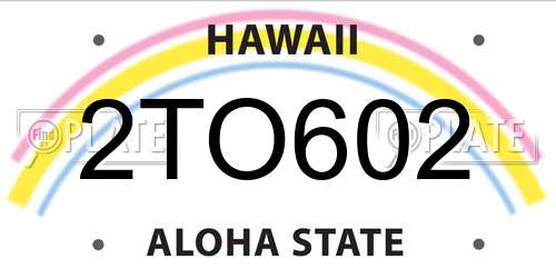 2TO602 Hawaii License Plate