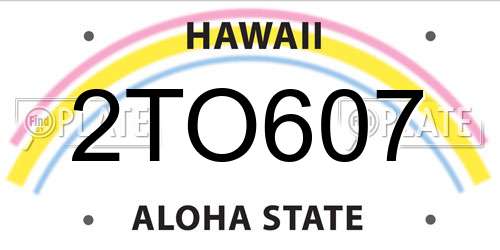2TO607 Hawaii License Plate