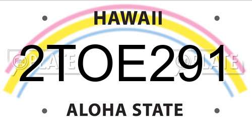 2TOE291 Hawaii License Plate