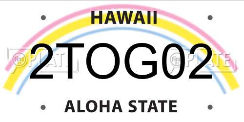 2TOG02 Hawaii License Plate