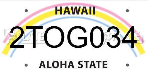 2TOG034 Hawaii License Plate