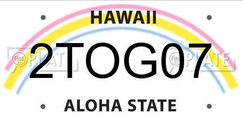 2TOG07 Hawaii License Plate