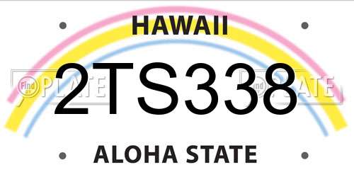 2TS338 Hawaii License Plate