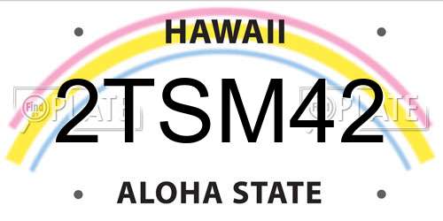 2TSM42 Hawaii License Plate