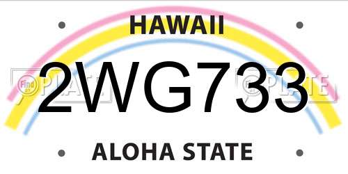 2WG733 Hawaii License Plate