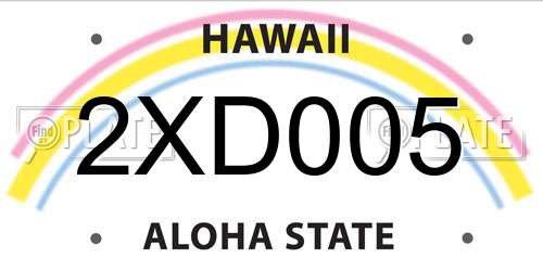 2XD005 Hawaii License Plate