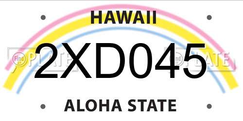 2XD045 Hawaii License Plate