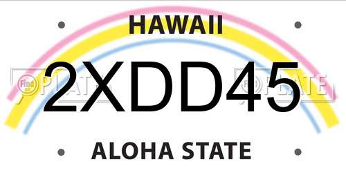 2XDD45 Hawaii License Plate