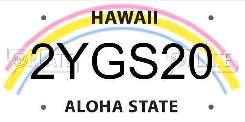 2YGS20 Hawaii License Plate