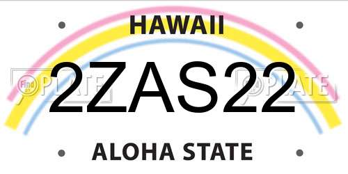 2ZAS22 Hawaii License Plate