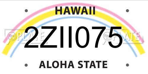 2ZII075 Hawaii License Plate