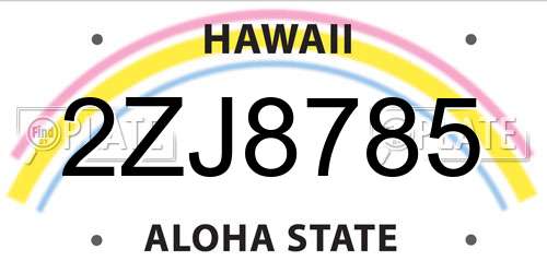 2ZJ8785 Hawaii License Plate