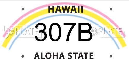 307B Hawaii License Plate