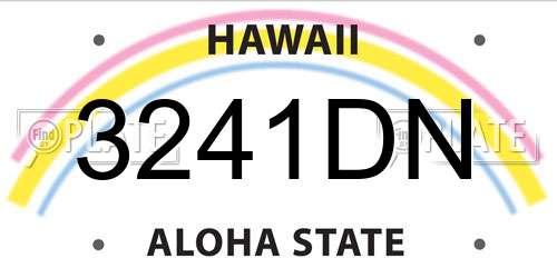 3241DN Hawaii License Plate