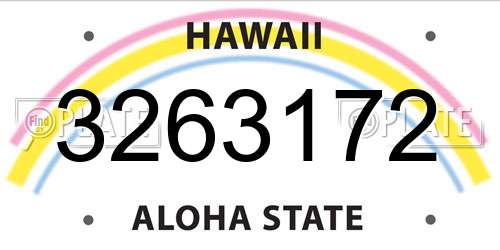3263172 Hawaii License Plate