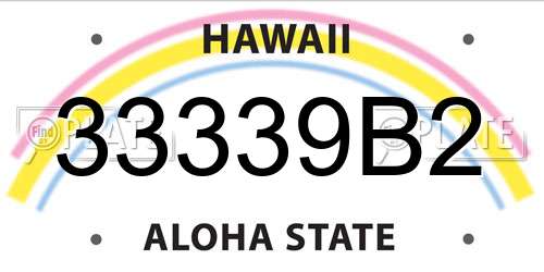 33339B2 Hawaii License Plate