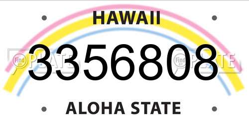 3356808 Hawaii License Plate