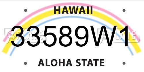 33589W1 Hawaii License Plate