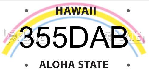 355DAB Hawaii License Plate