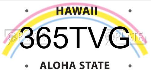 365TVG Hawaii License Plate