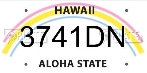 3741DN Hawaii License Plate