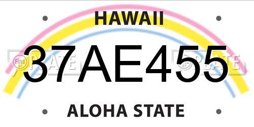 37AE455 Hawaii License Plate
