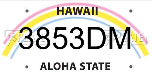 3853DM Hawaii License Plate
