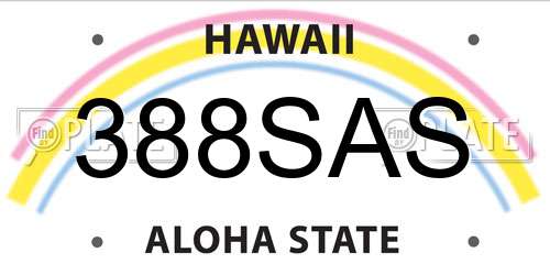 388SAS Hawaii License Plate