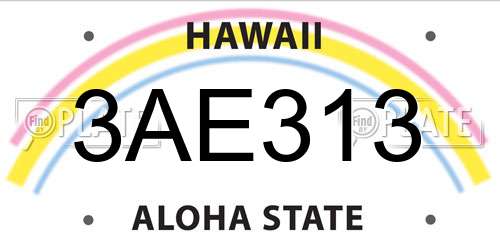 3AE313 Hawaii License Plate