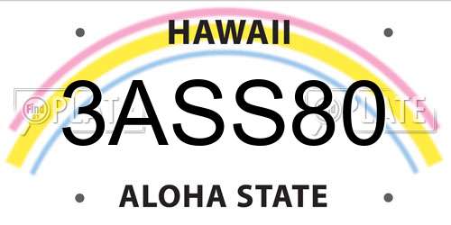 3ASS80 Hawaii License Plate