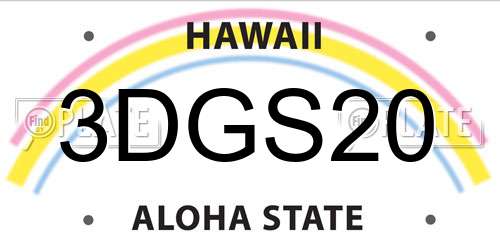 3DGS20 Hawaii License Plate