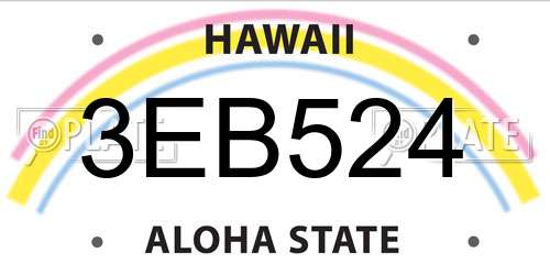3EB524 Hawaii License Plate