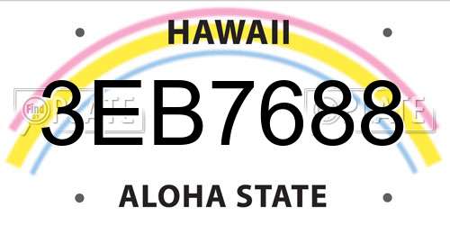 3EB7688 Hawaii License Plate